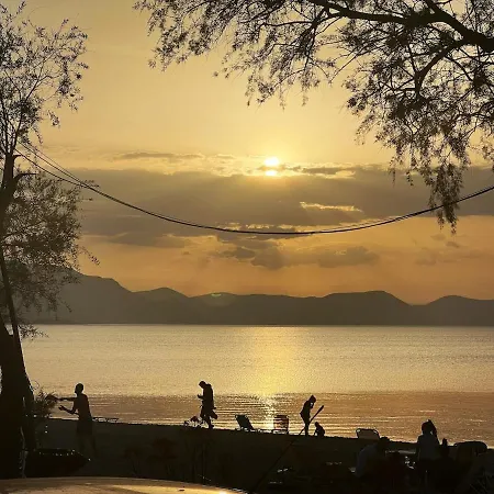 Olivias Άγιος Μηνάς